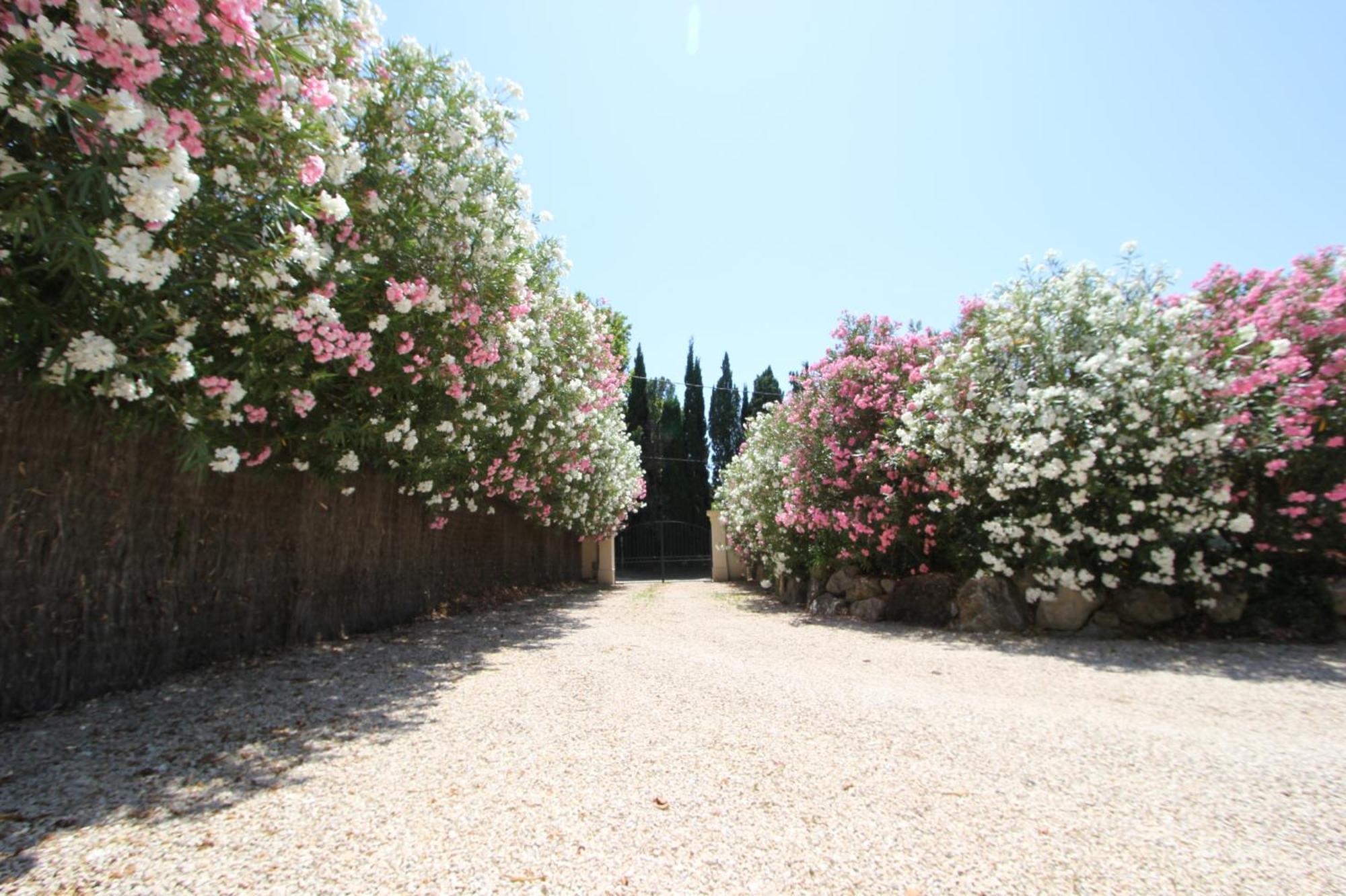 Mas Paloma Bed & Breakfast Rognonas Dış mekan fotoğraf