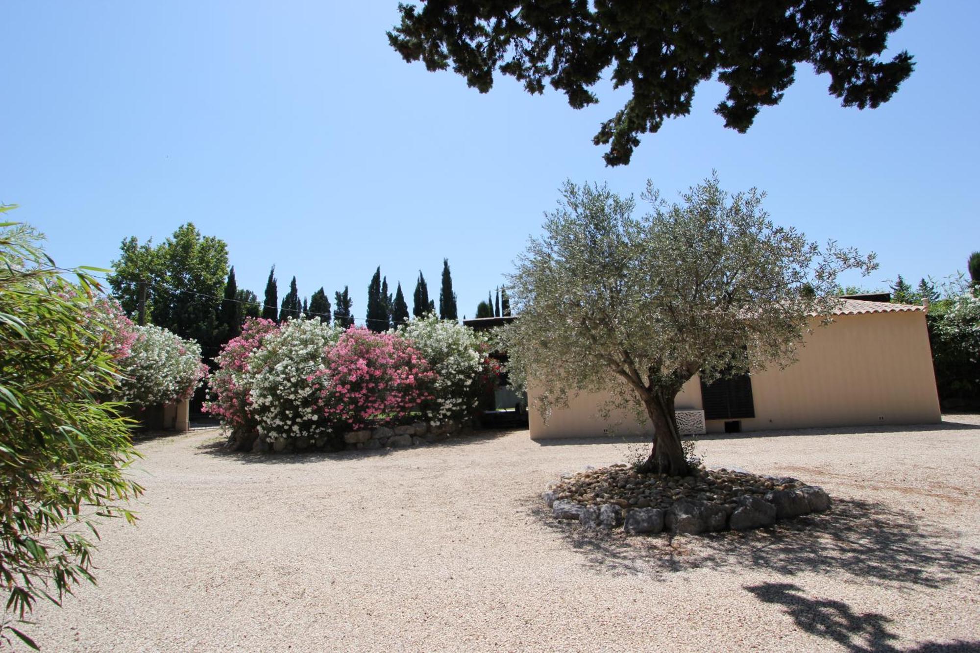 Mas Paloma Bed & Breakfast Rognonas Dış mekan fotoğraf